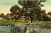 Scene in Cook Park, Canton, Ohio (ca. 1908-1915)